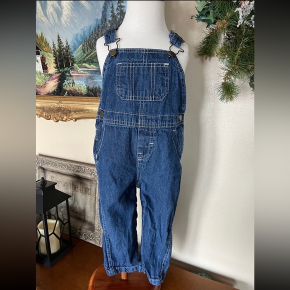 Denim Overalls - Picture 1 of 4